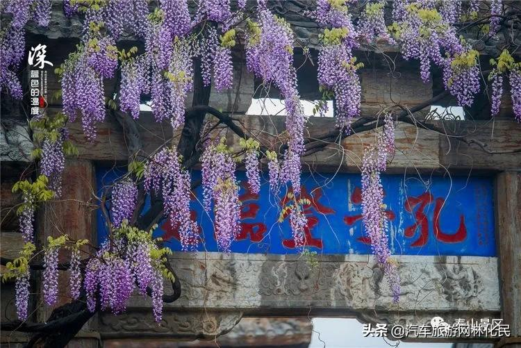 「泰安」中华泰山（含上乘观光车）一日游