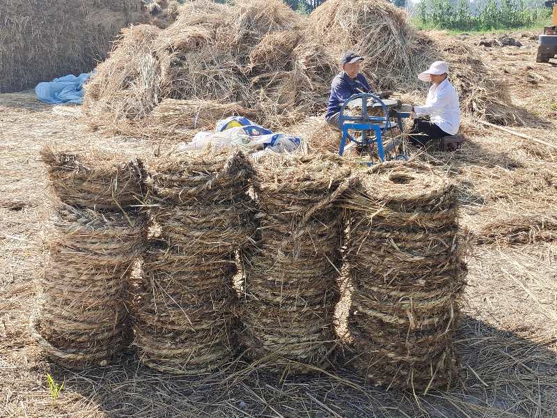 稻草|摄影师用镜头记录稻草帘、草绳制作全过程