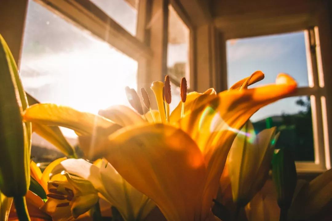三月里的9首小诗：阳光正暖，岁月安然-第6张图片-诗句网