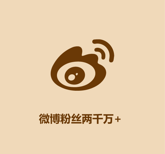 30秒认识李子柒