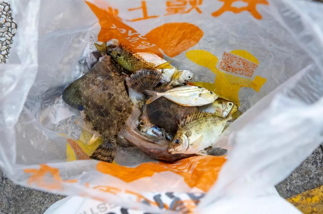冬天看海的执念，就让温暖的深圳帮忙实现