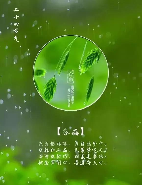 谷雨节里的风景-第1张图片-诗句网