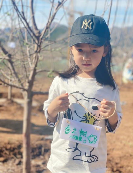 Dong Xuan tomb-sweeping day takes a daughter to plant tree, small dimple of 5 years old grows more beautiful more, work to be like young adult