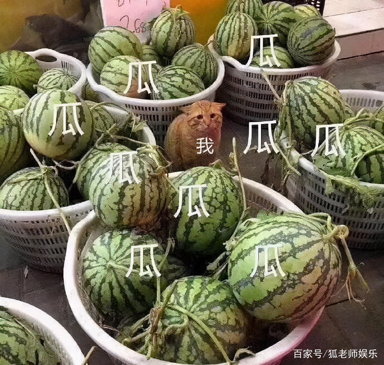 明星私生子全揭秘