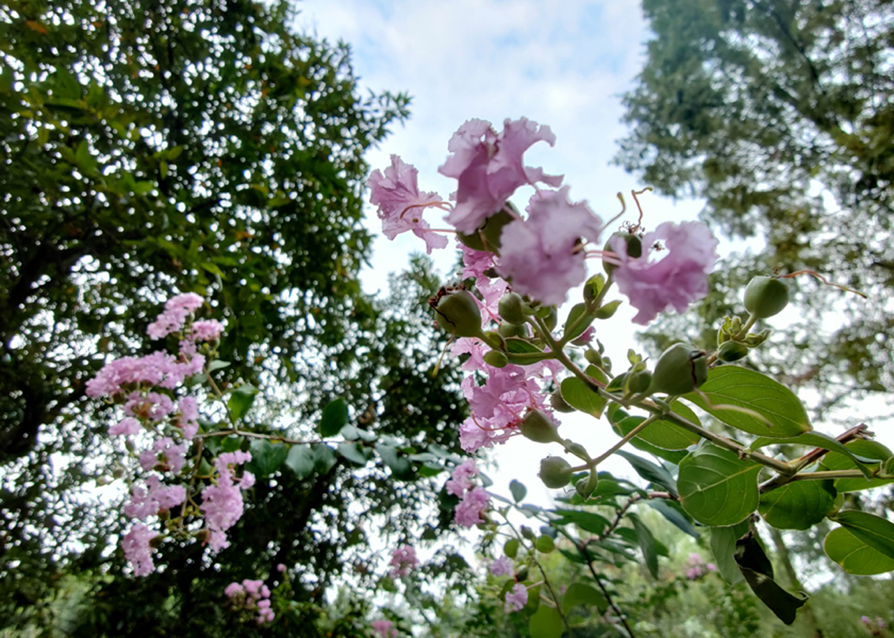 学生党蓝牙耳机推荐：网红耳机LolliPods Pro开箱