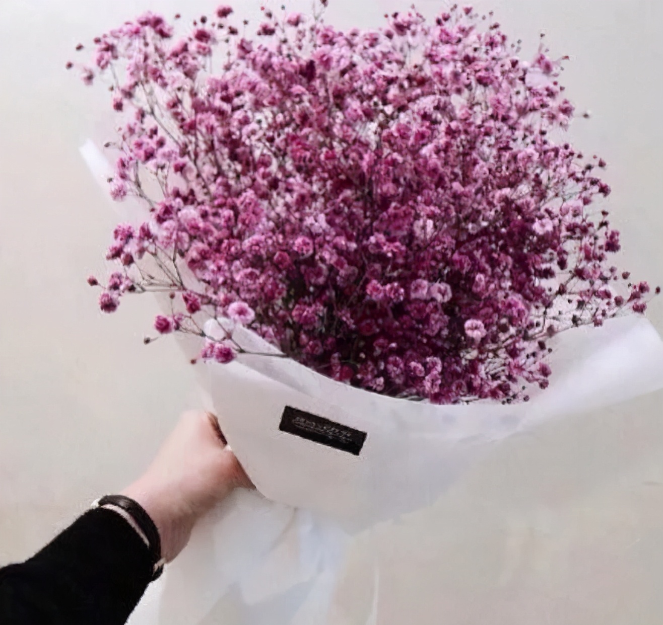 自己|善待时光也善待自己 三八妇女节的美图来了