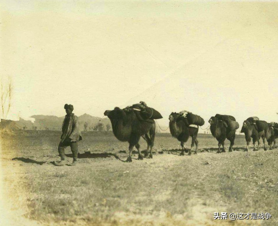 1951年，一個(gè)小戰(zhàn)士干了一件轟動(dòng)大西北的事，救了全軍的命