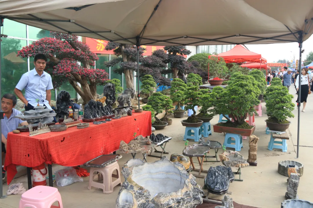 大饱眼福，第八届中国沭阳花木节竟如斯出色！你想看的全在这里…
