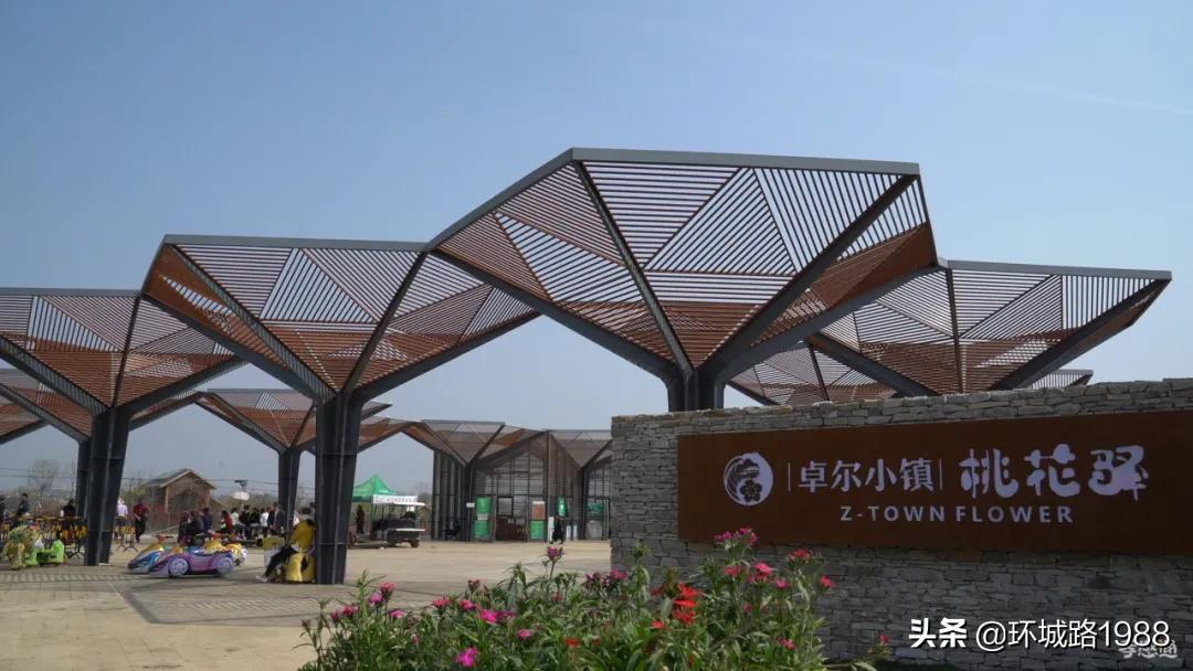 这里是,杨店