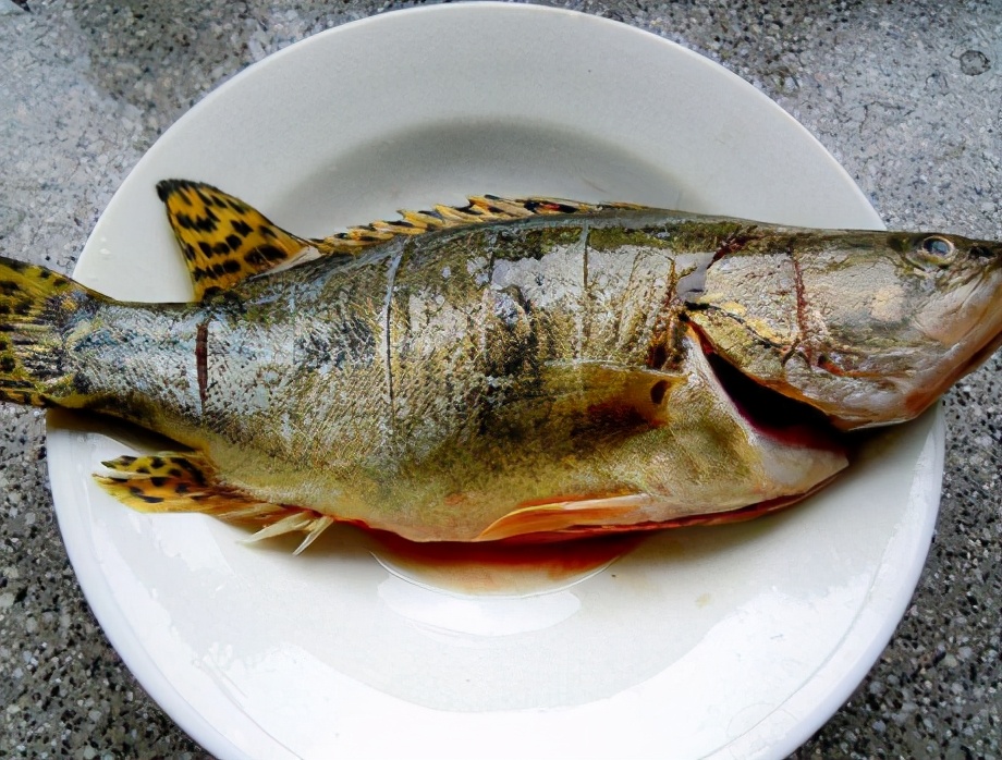 图片[3]-清蒸桂鱼的做法步骤图 清蒸桂鱼时牢记3个小细节鱼肉鲜嫩滑且-起舞食谱网