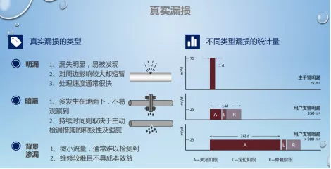 真实漏损