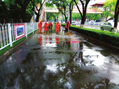 诗歌 晨雨即景