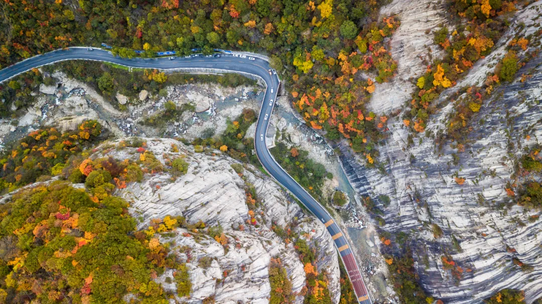 There is a heartbeat called the autumn of the Qinba Mountains!  Red leaves in clear autumn, encounter romantic scenery