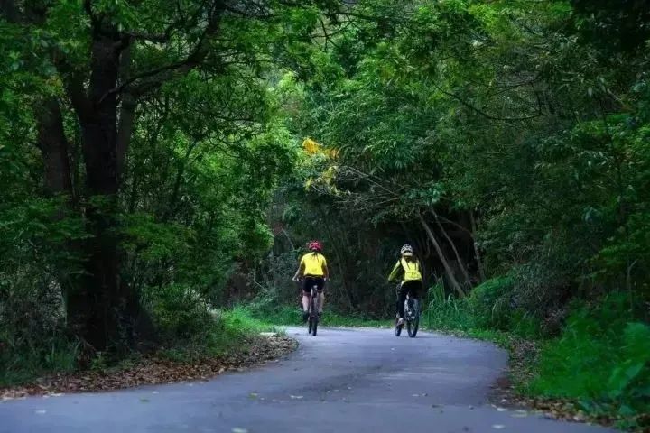 这儿集山、林、湖、温泉为一体，被誉为“温泉之乡”惠林温泉别墅