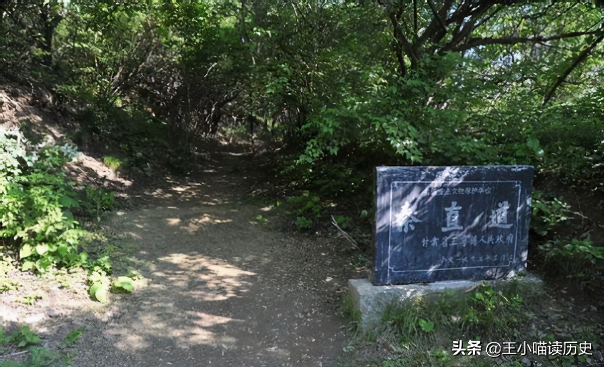 千古名相李斯：赌对了秦始皇步入巅峰，却贪婪成性葬送一生