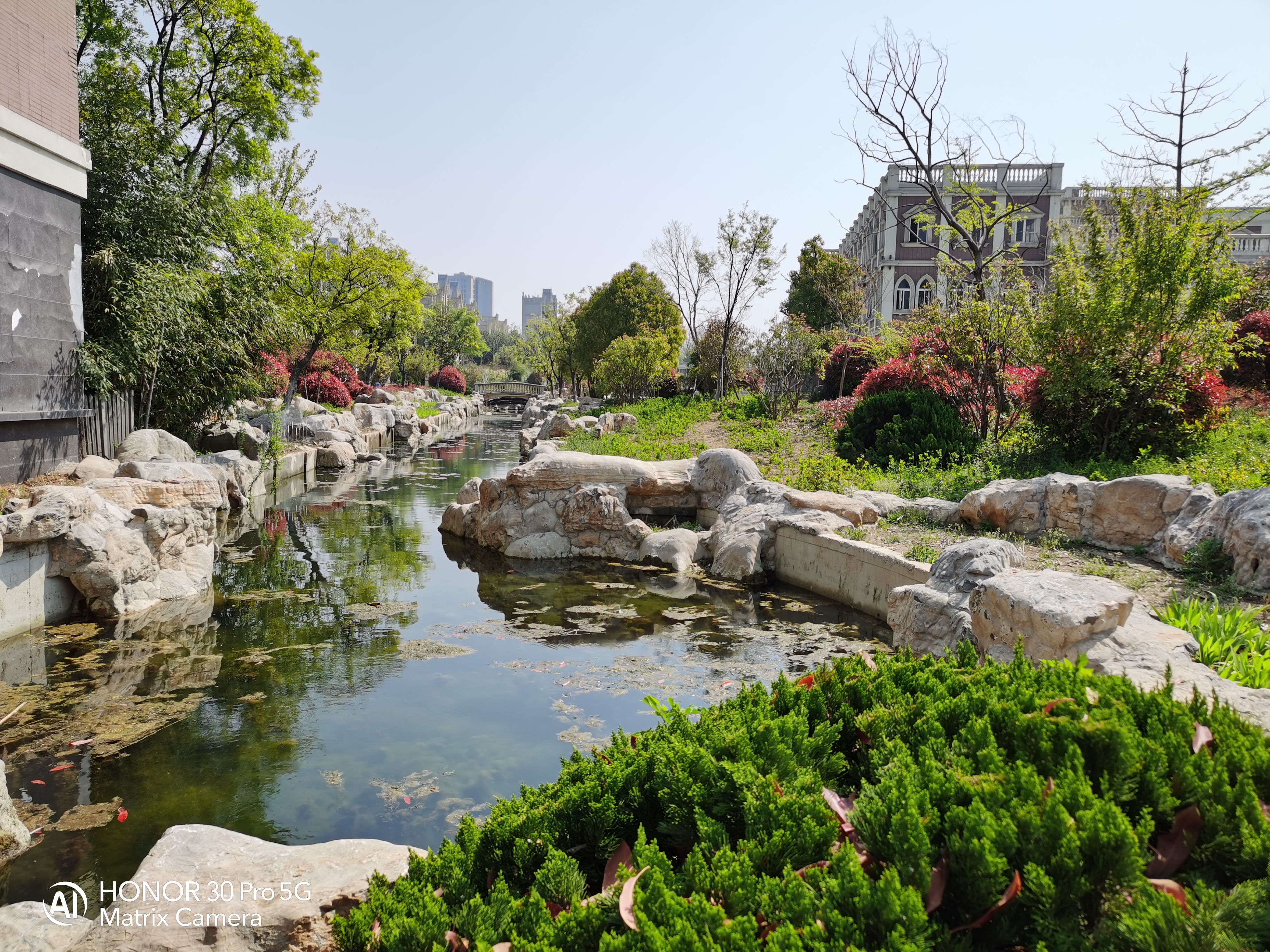 当完全不会拍照的媳妇儿上手测试荣耀30 Pro，你