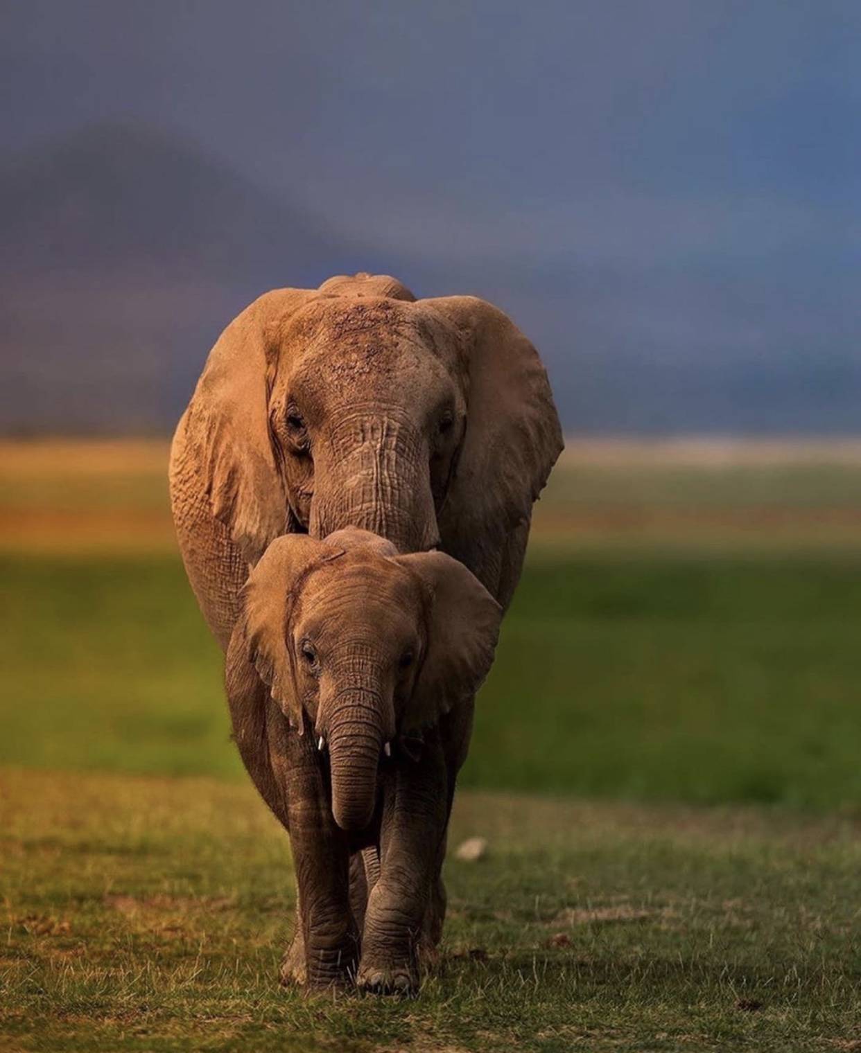 從這些照片裏，感受到了生命的溫度