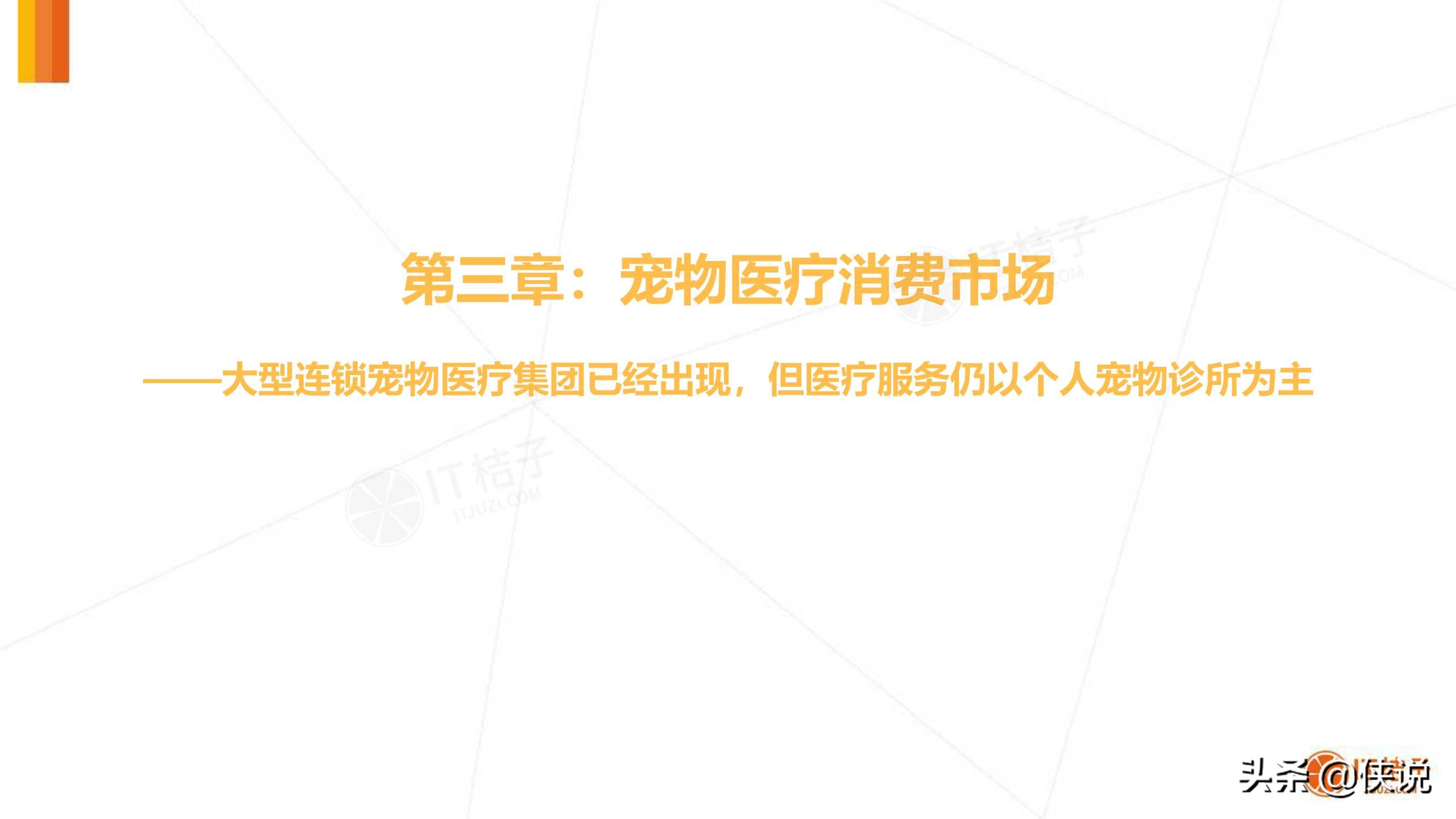 IT桔子：2020年中国宠物消费市场分析报告