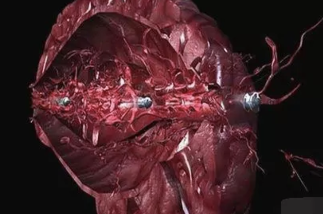 子弹的威力到底有多大？看完这几张图就知道了