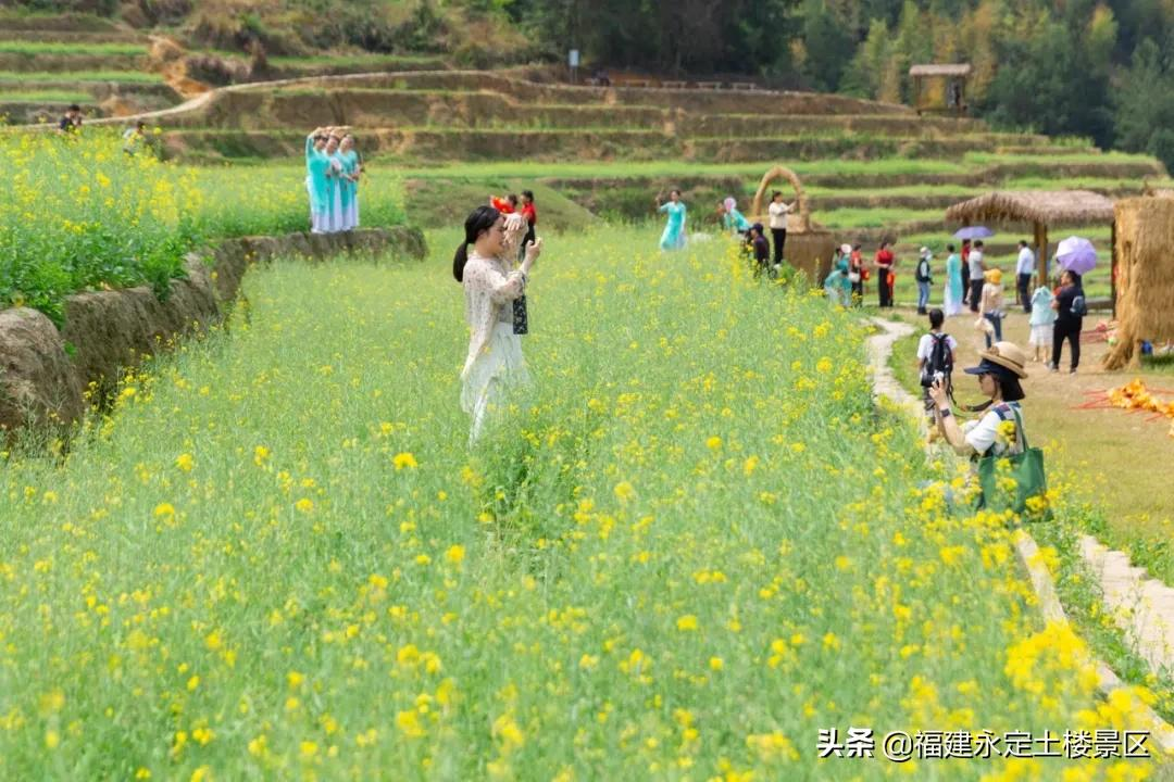 阳春三月 · 永定初溪土楼赴一场春之约