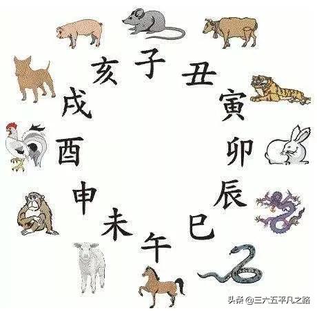 2021 is " 9 Tu Gong pigs " , does hog prices forecast: ? Li  appropriate? 