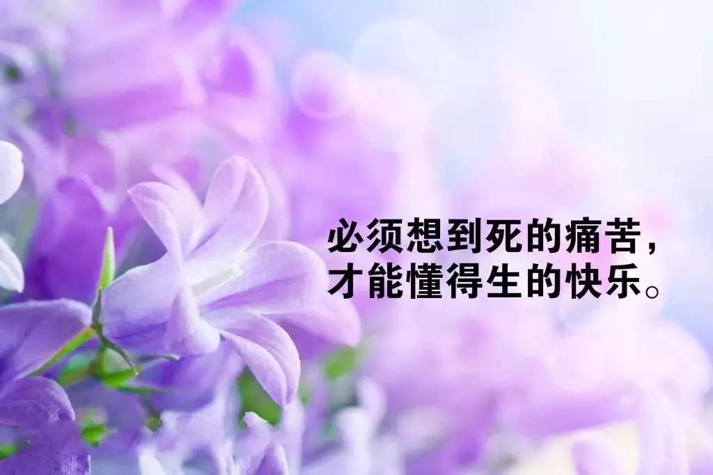 励志早安心语正能量一句话-第2张图片-非凡网
