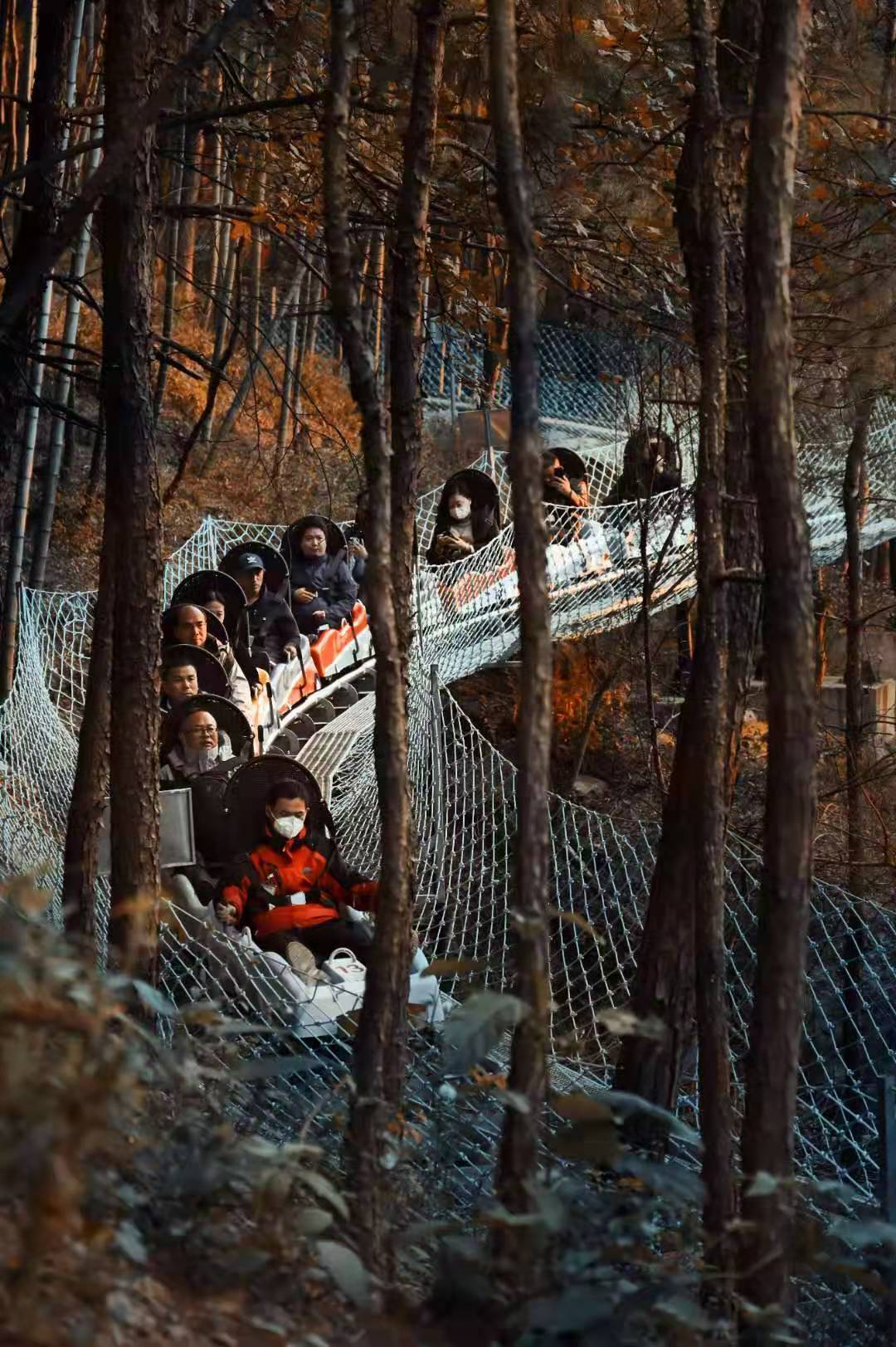 百名武漢戰疫英雄暢游天柱山