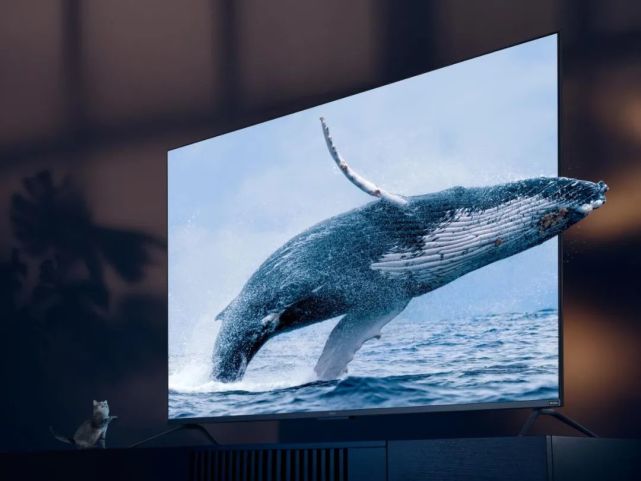 超大屏配合HDR10+认证的“尤物”——OPPO智能电视K9 75英寸