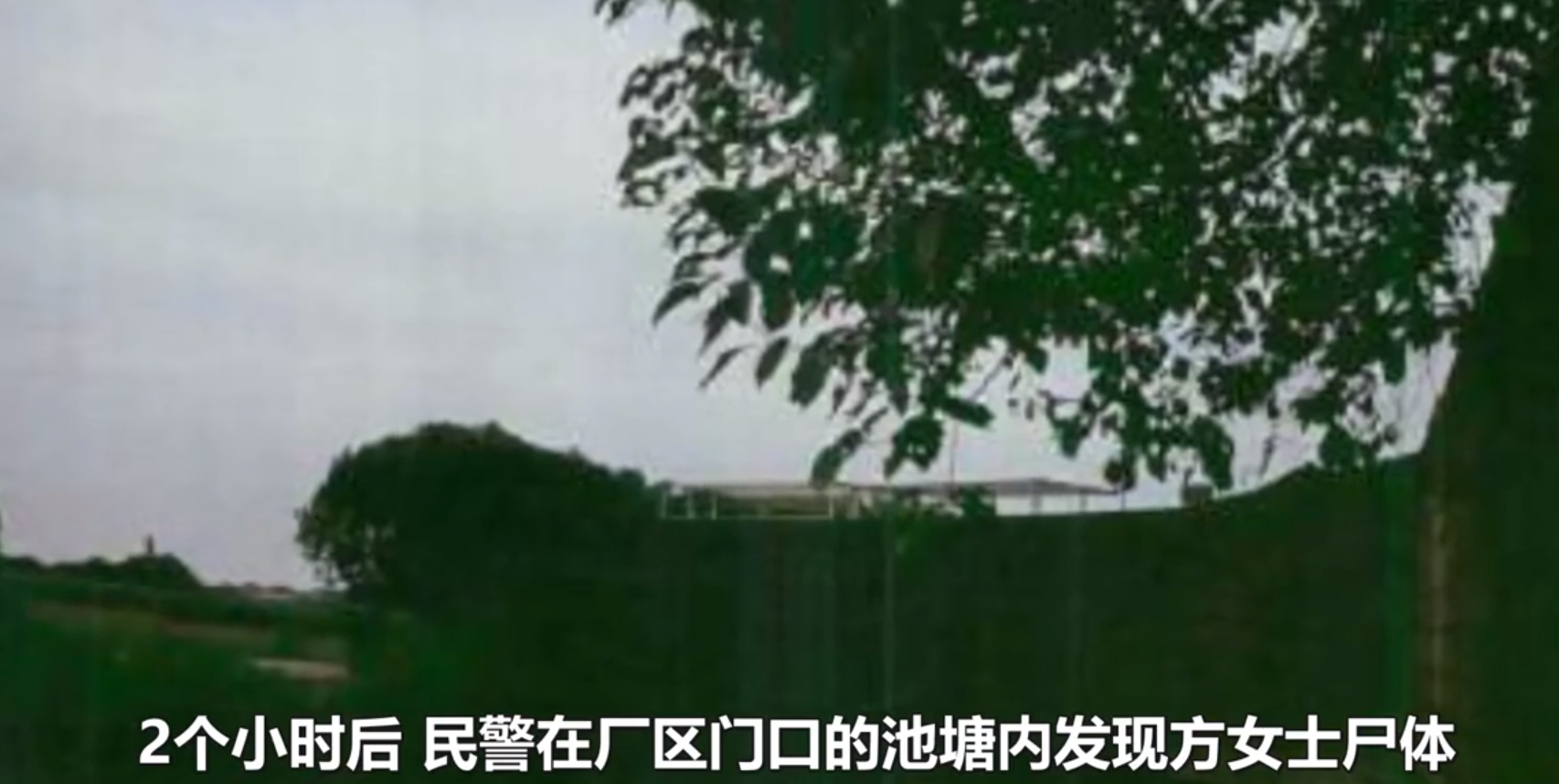 女子偷瓜被发现，逃跑中意外落水身亡，瓜农被家属告上法庭，法院判了