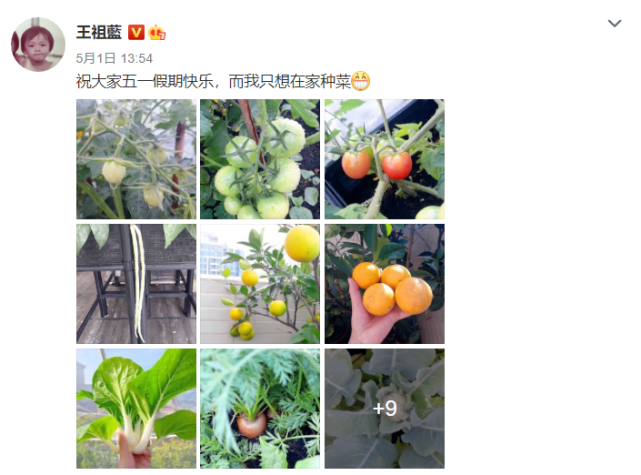 王祖藍帶女兒遊玩，下意識動作彰顯父愛，兩歲天韻肉嘟嘟愈發漂亮