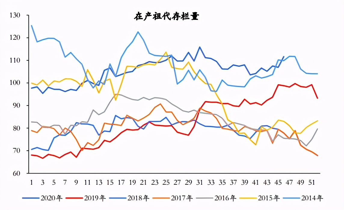 半月涨40%，4天跌超10%，毛鸡价格为何如此大起大落？