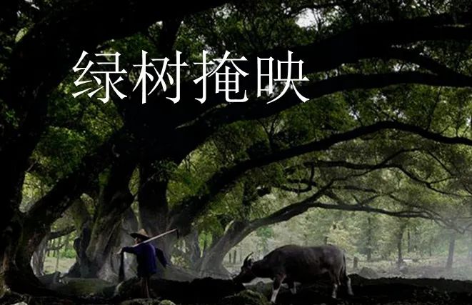 股市早8点丨接连打压负面影响深远