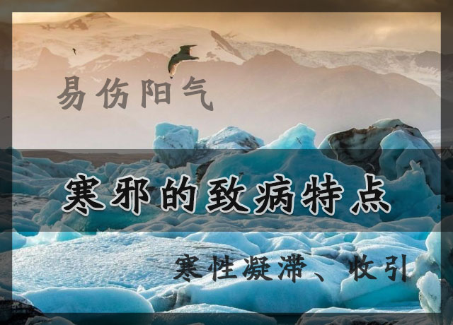 中医所说的