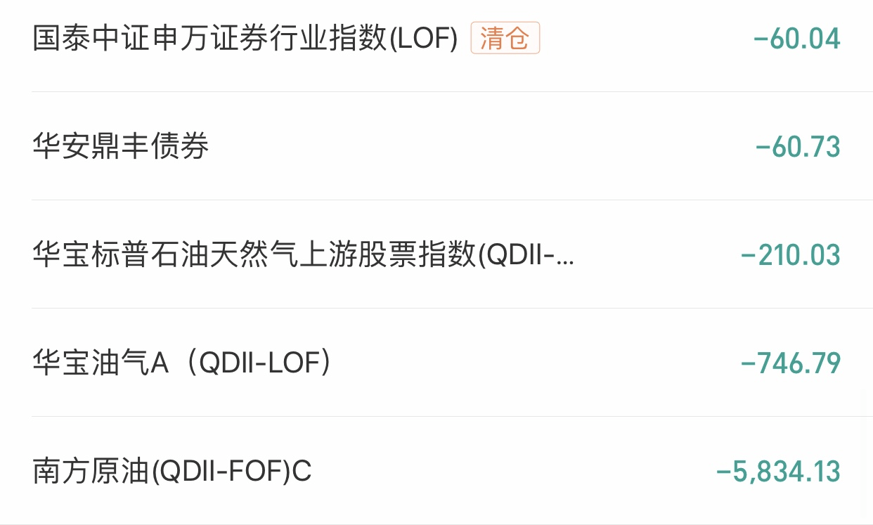 晒我今年亏损前5的基金收益，亏损6900+