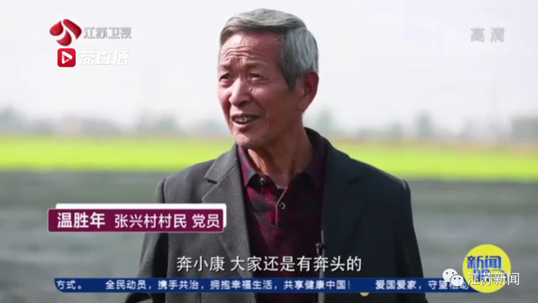 灌云“西瓜书记”第二次丰收，这次是芦蒿！小康路上，谁都不掉队