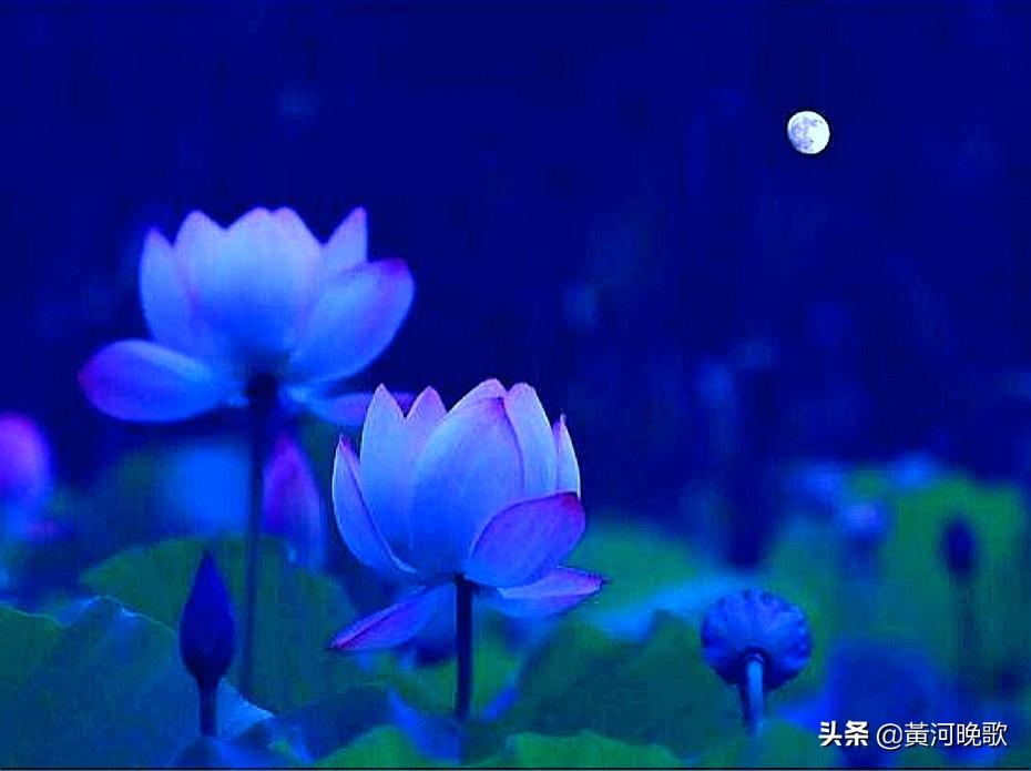 阳谷有没有世界唯一性的文化