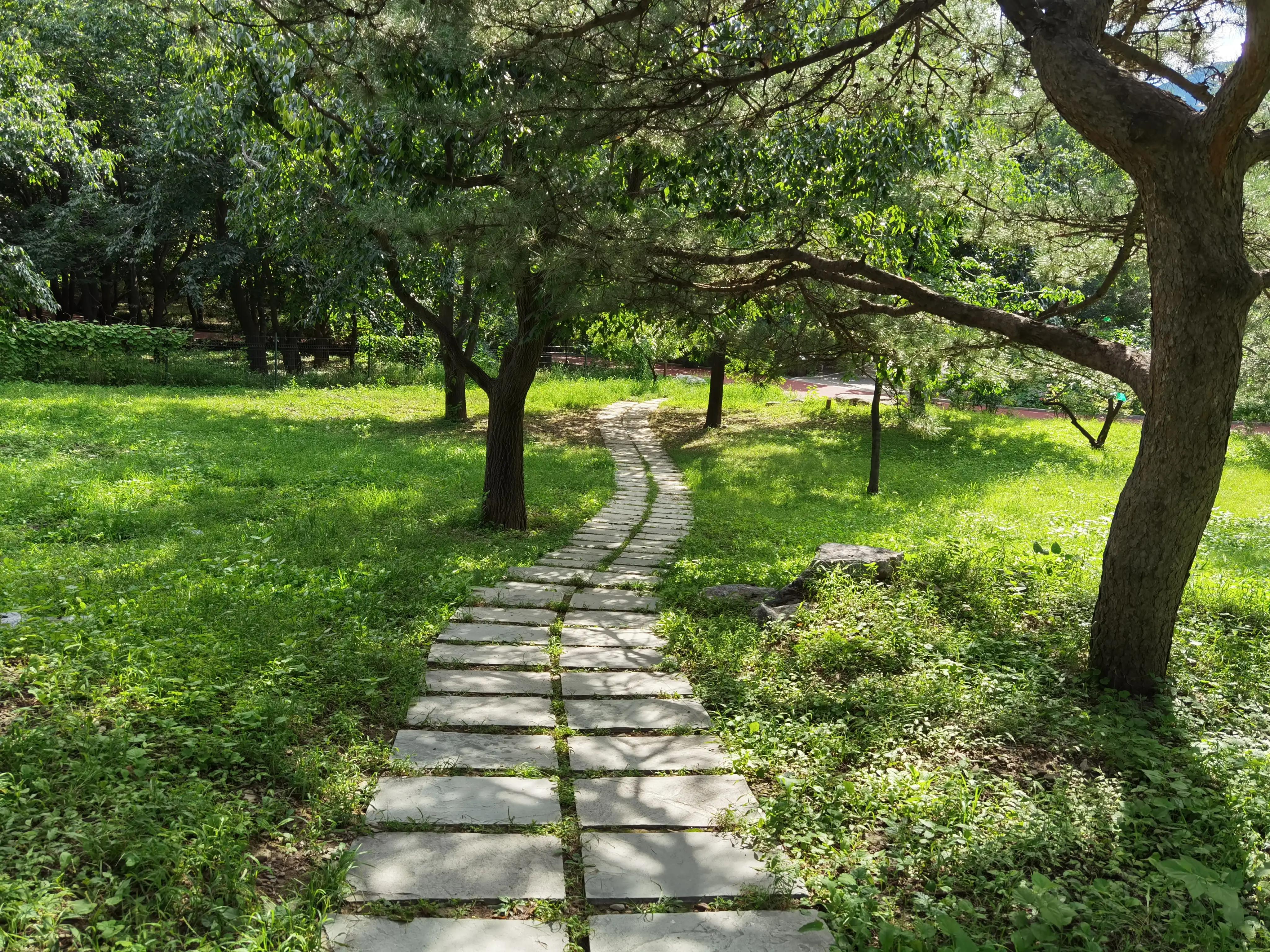 北京植物園一日游