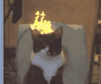 坐着打游戏也能减肥？1小时=200千卡，竞技、解谜游戏效果更佳