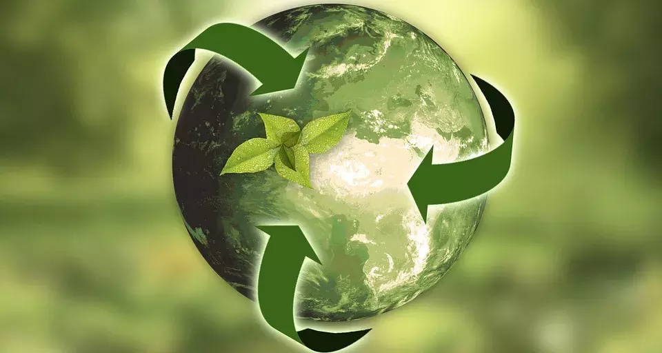你知道什么是可再生资源吗？