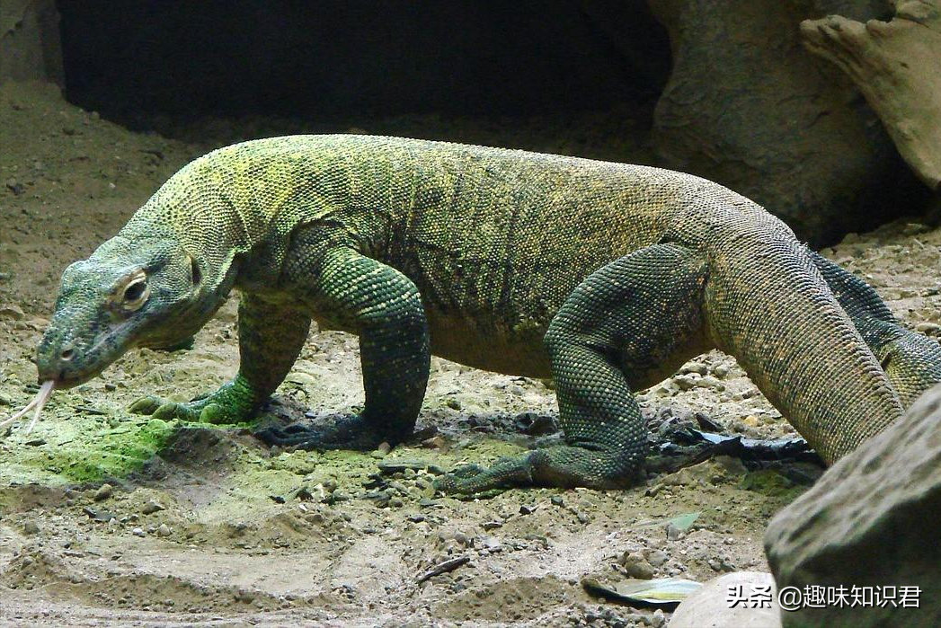 盤點那些有趣的冷星空体育官网入口网站