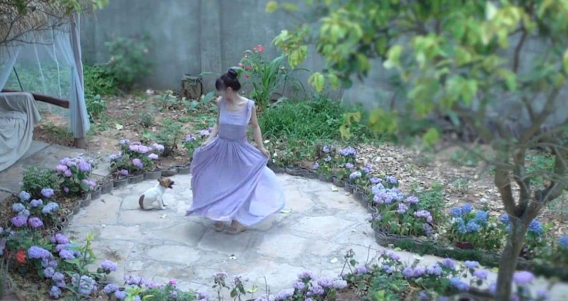 网络水军有偿删帖获刑，李子柒被指拿钱消灾，