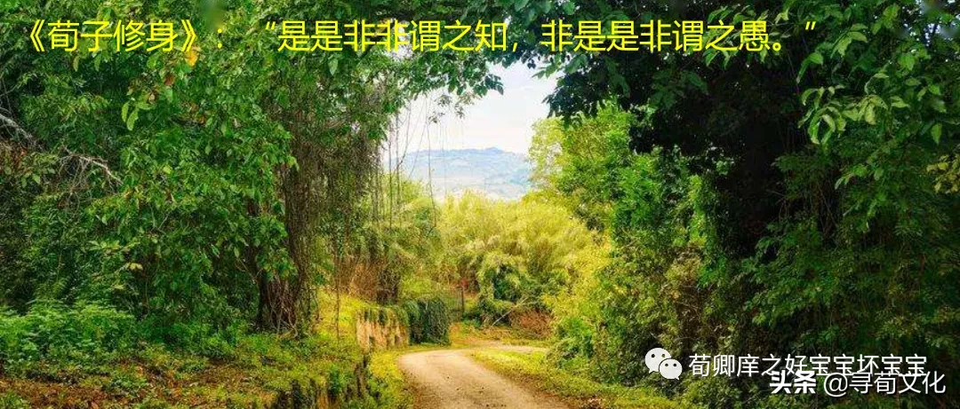 是是非非 荀子四字成语荀卿庠读书会整理 荀子名言 中国荀子网 荀子原名荀况 尊称荀卿 本网研究荀子及荀子思想 汇聚研究荀子成果