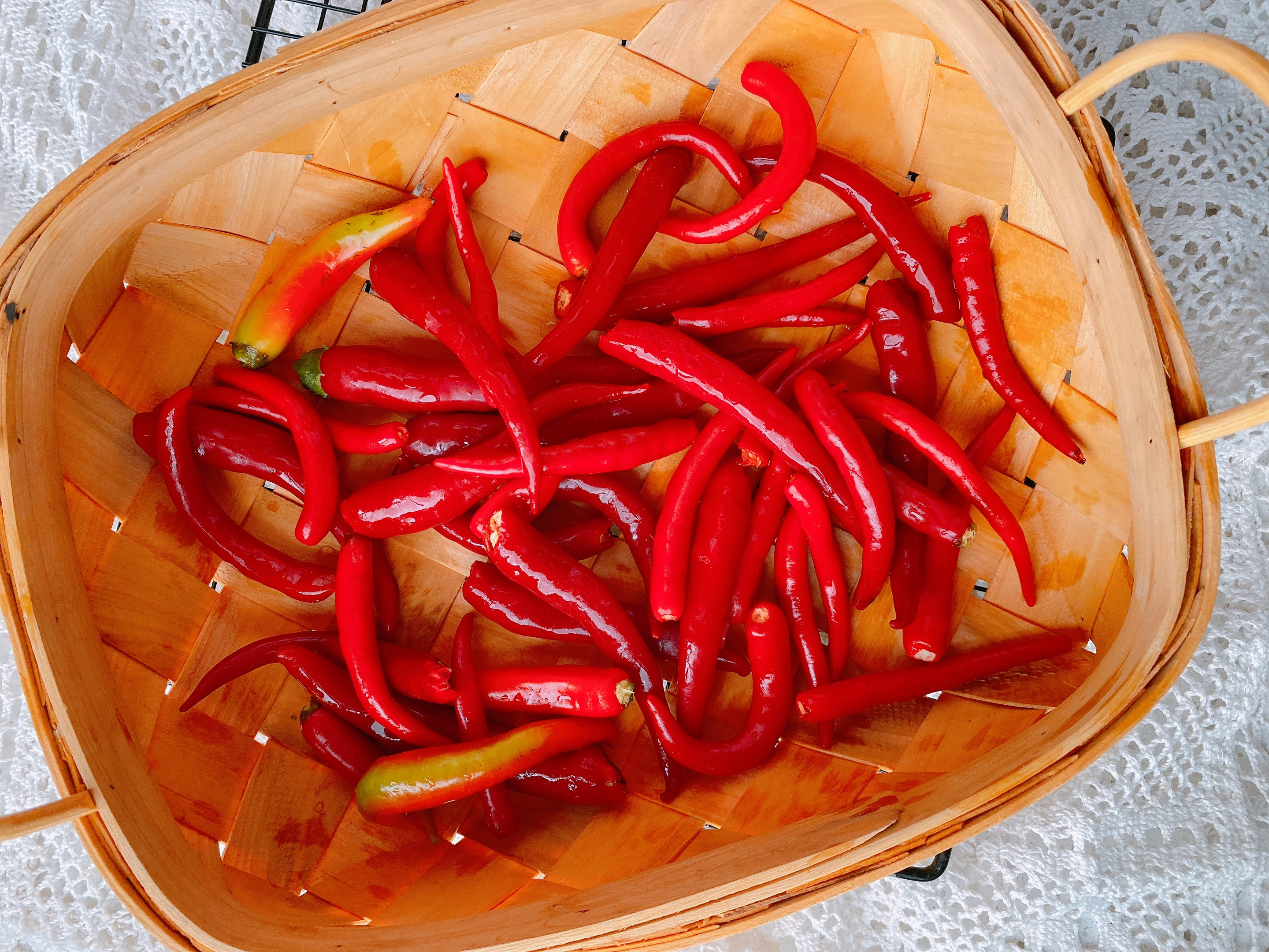 腌辣椒的季节到了，教你独家腌法，不加盐2小时就能吃，又香又辣