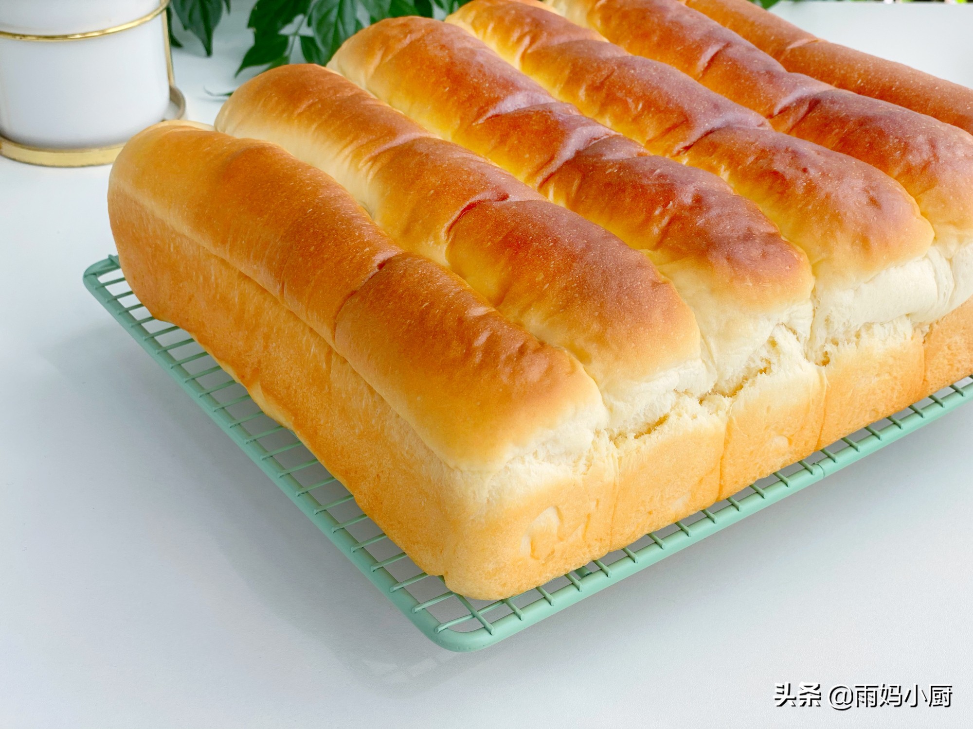 做过的面包里，最松软的就是奶排包，组织细腻又拉丝奶香味十足