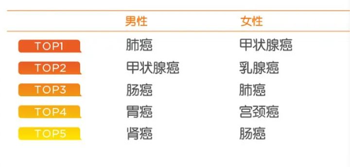 看了2020年70份理赔报告后，我发现保险公司不为人知的一面 第11张