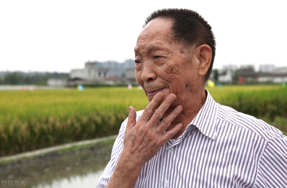 送别袁隆平！他8年前留下的那个毕生愿望，“临走”前实现了吗？