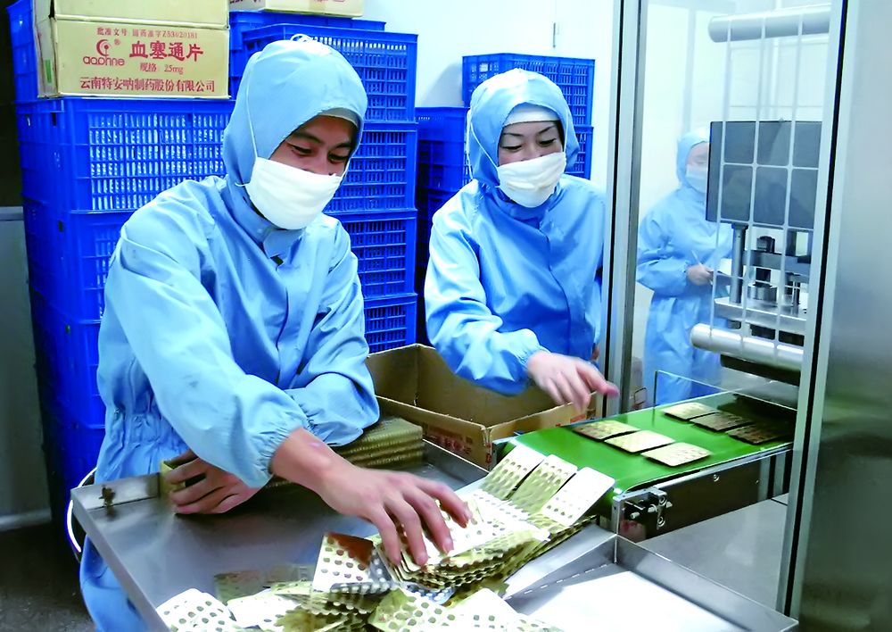 上半年文山三七中医药产业实现综合收入47.6亿元，接下来这样干