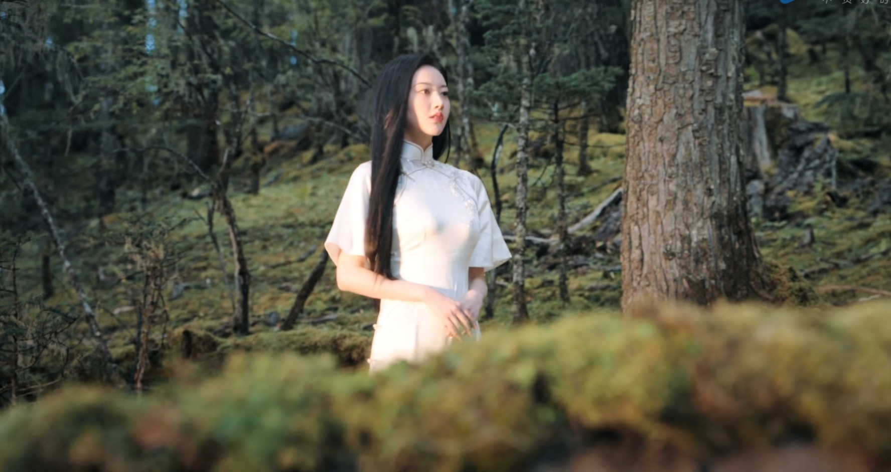 讲的|司藤小说讲的是什么 司藤和秦放有感情线吗