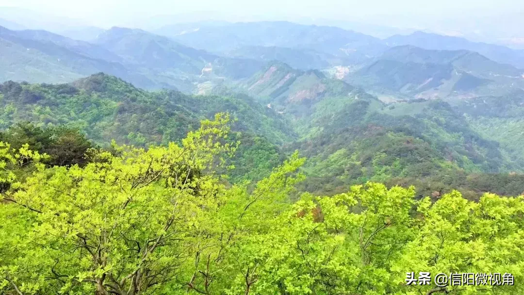 新县属于哪个市(新县在民国的时候叫什么)插图12 北国的江南——新县,我的家(图)