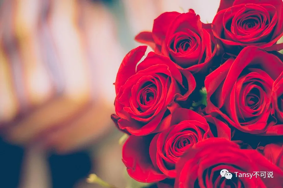 情人节|2020七夕情人节表白丨77句情话教你文艺高雅地说我爱你